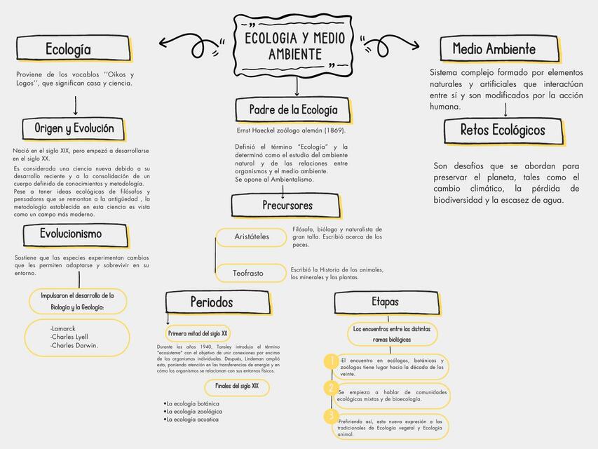 MAPA CONCEPTUAL MEDIO AMBIENTE Y ECOLOGIA