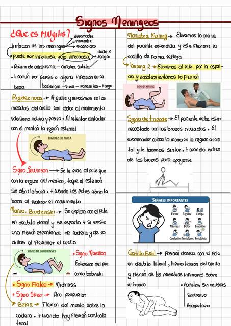 Signos Meningeos
