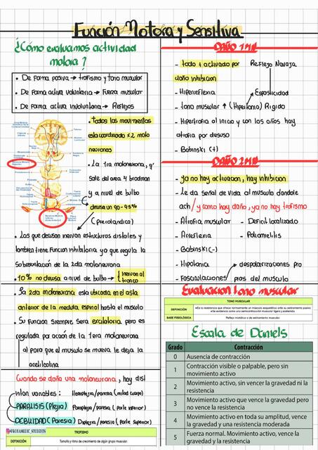 Evaluacion Motora y Sensitiva