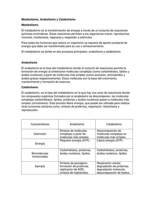 metabolismo anabolismo y catabolismo