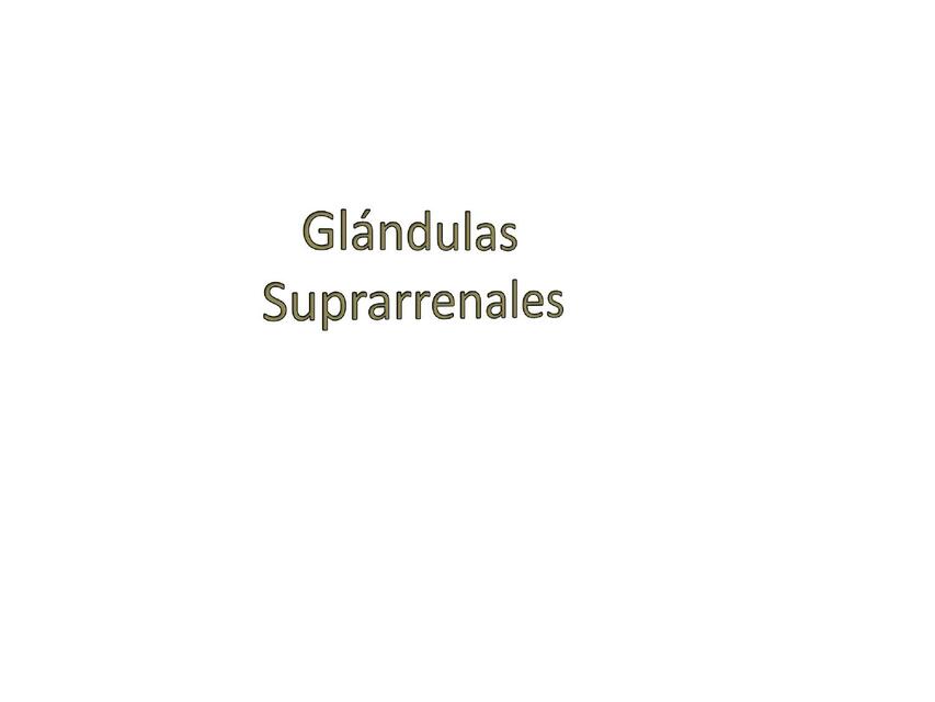 Suprarrenales