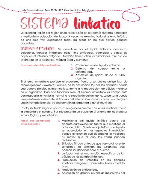 Sistema linfatico