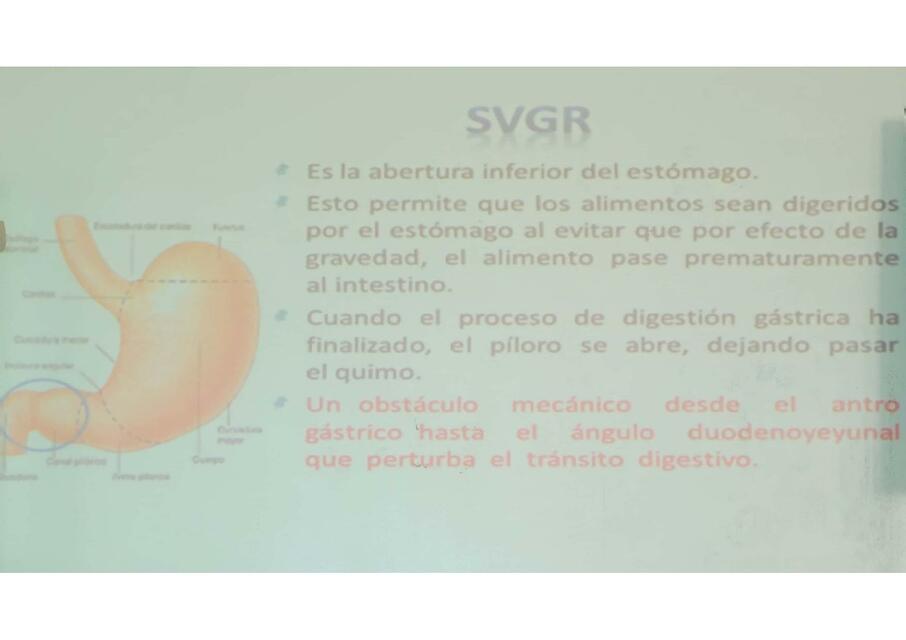 Estómago patologia maligna Cirugía I-UNAH Dr Ortiz