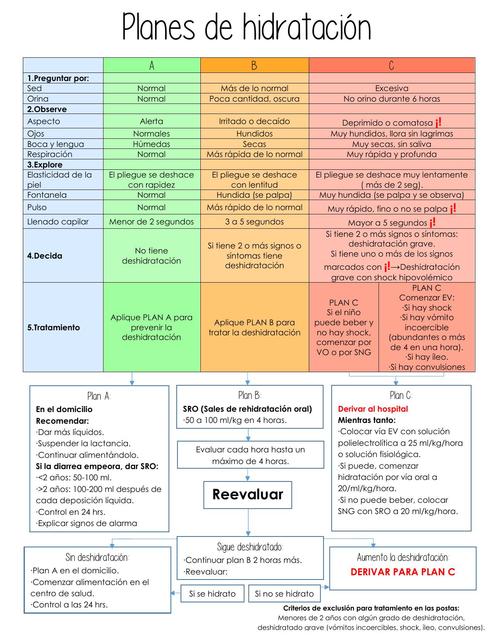 Planes de hidratación