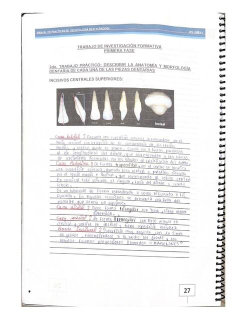 Manual de prácticas de odontologia 