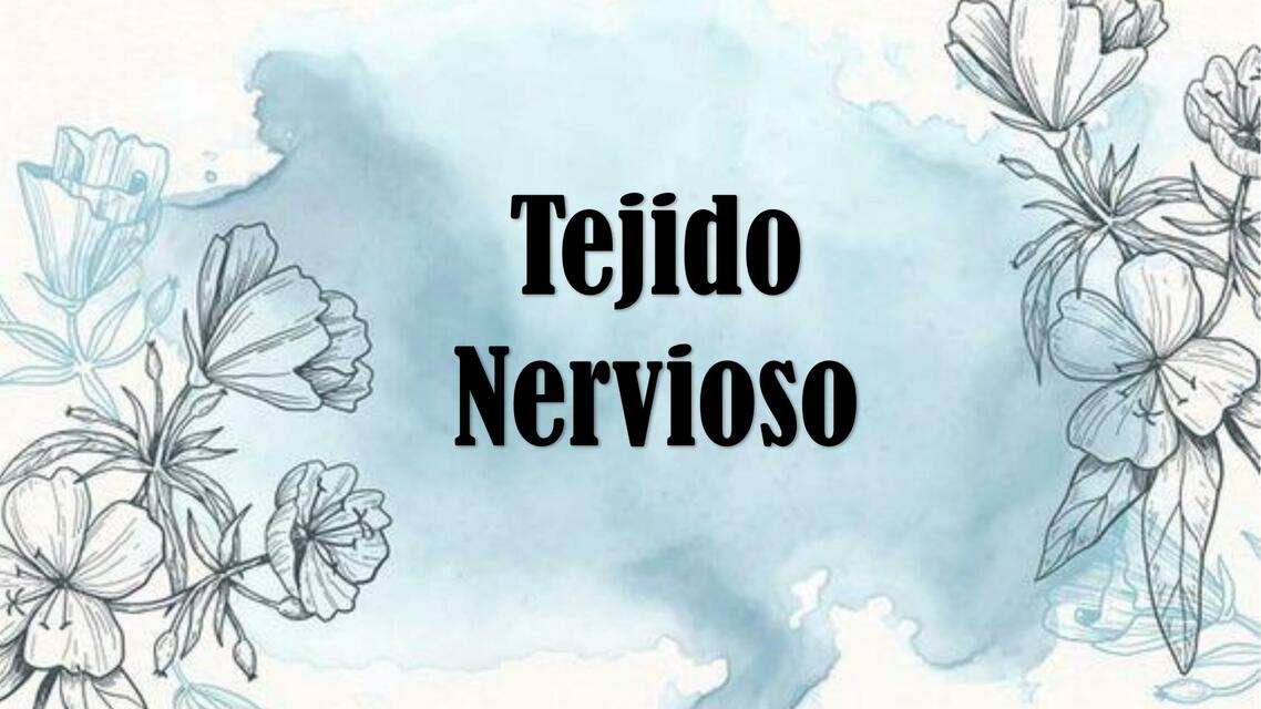 Tejido nervioso completo