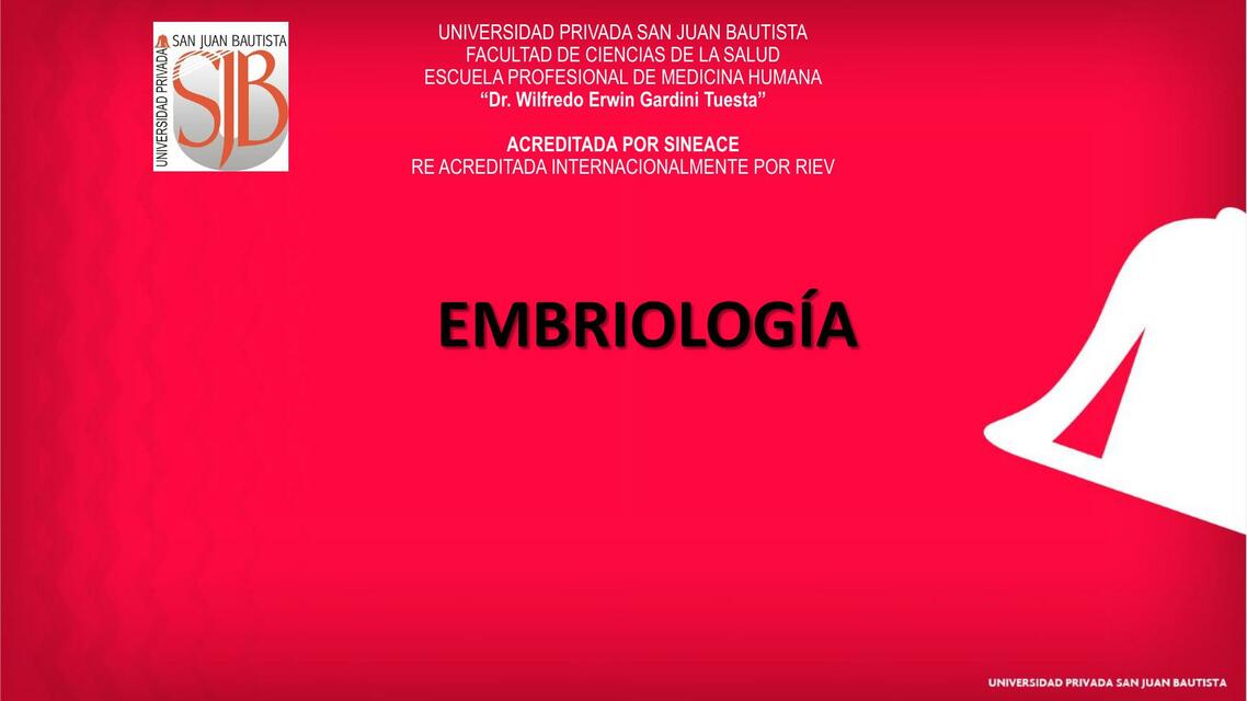 Embriologia 