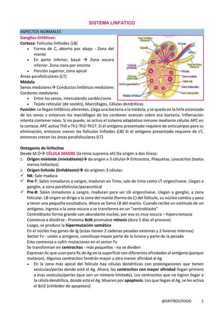 TP9 SISTEMA LINFATICO