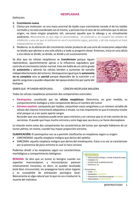 TP4 NEOPLASIAS