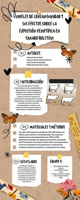 Infografía consanguinidad