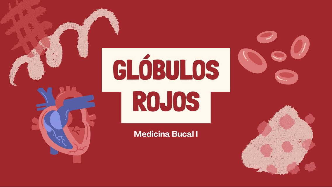 Globulos Rojos