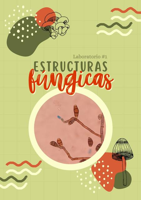 Estructuras fúngicas (Laboratorio 1 Micología)