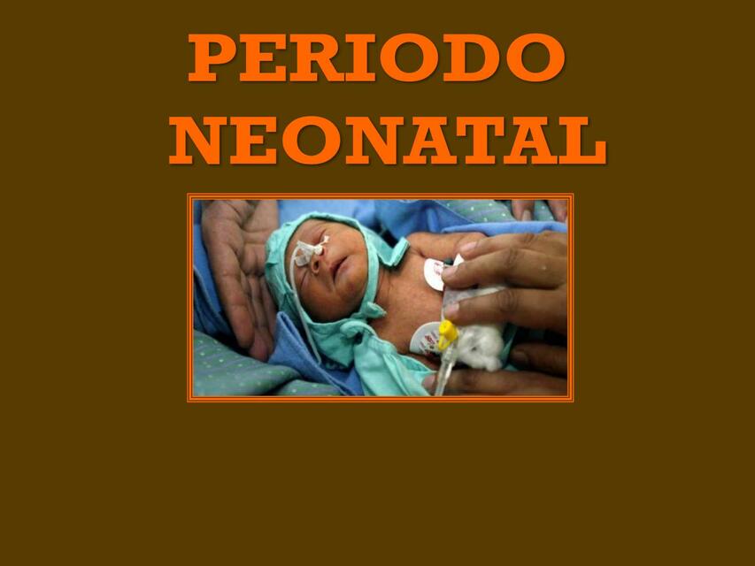 PERIODO NEONATAL