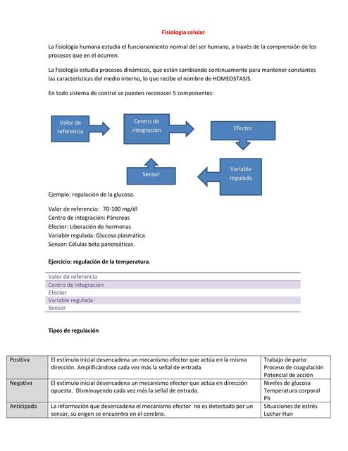 Fisiología Célular