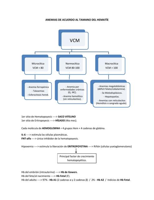 Hematología