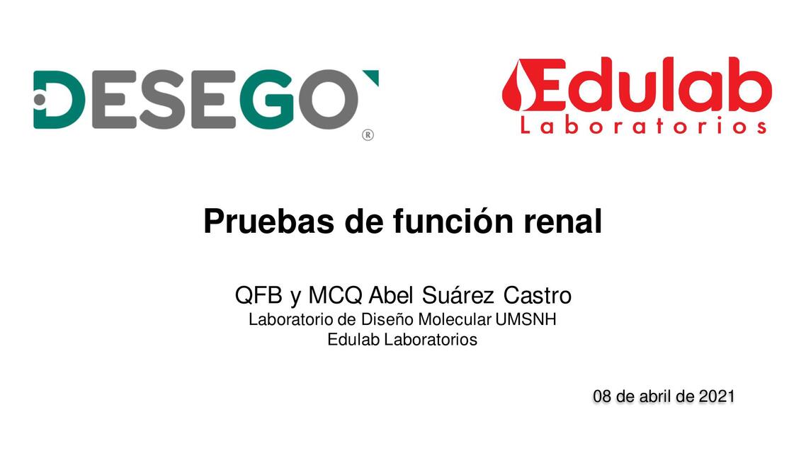 Pruebas de funcion renal