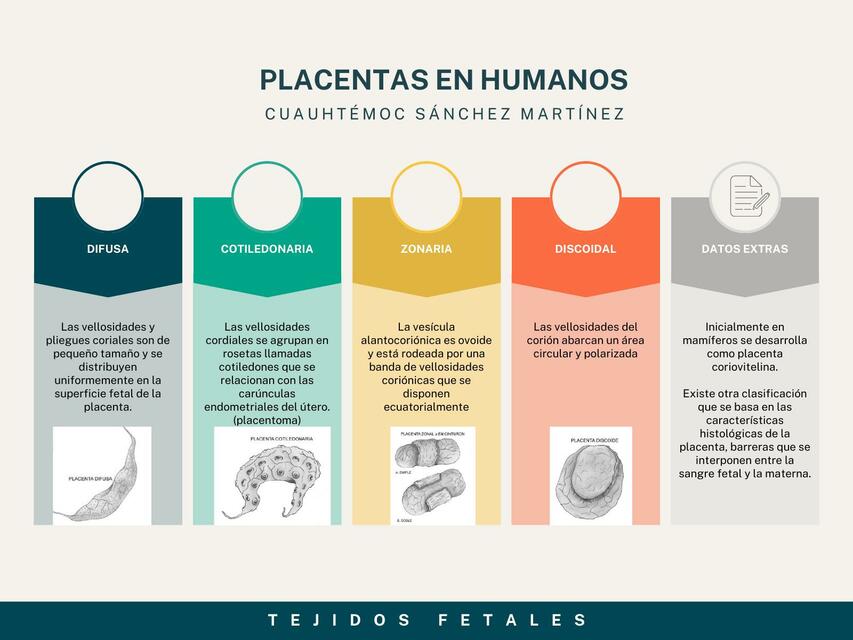 Grafico cuadro comparativo pizarrón ilustrado mul