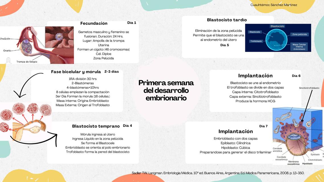 Mapa Mental Primera Semana del desarrollo embrionario