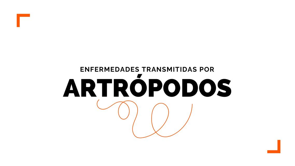 ARTROPODOS