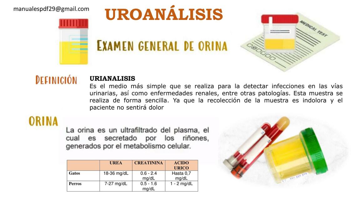 UROANALISIS EN FELINOS Y CANINOS