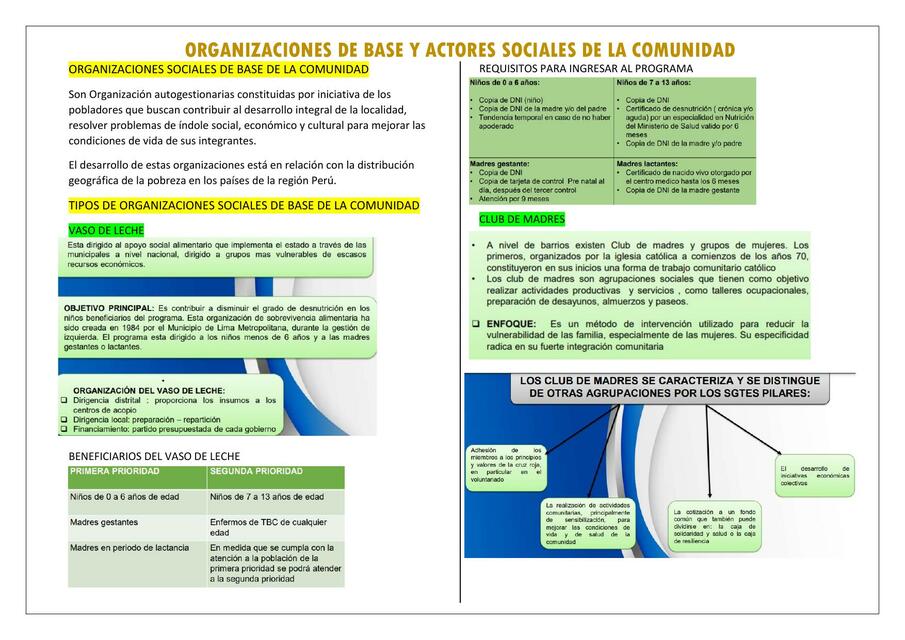 ORGANIZACIONES SOCIALES DE BASE DE LA COMUNIDAD