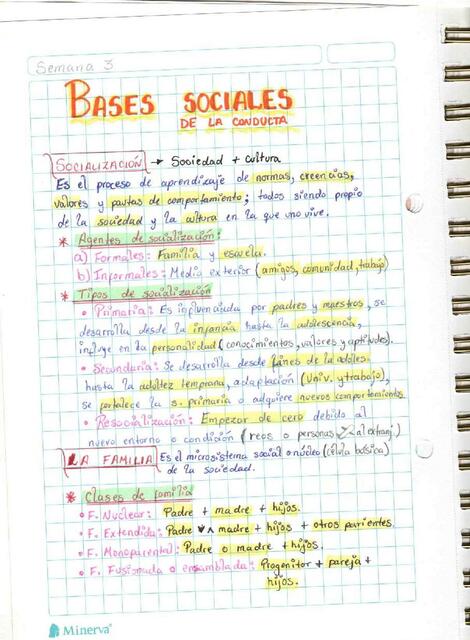 3 Bases sociales del comportamiento