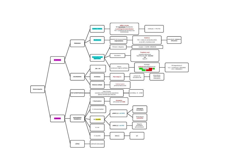 GLOMERULOPATÍAS