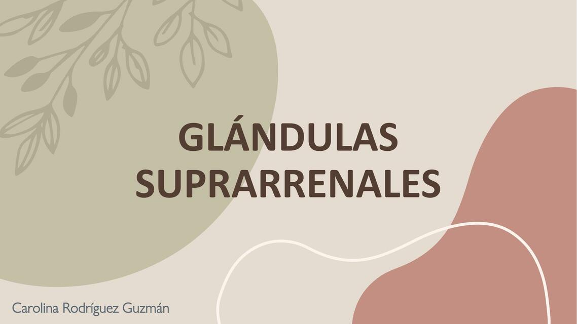 GLÁNDULAS SUPRARRENALES