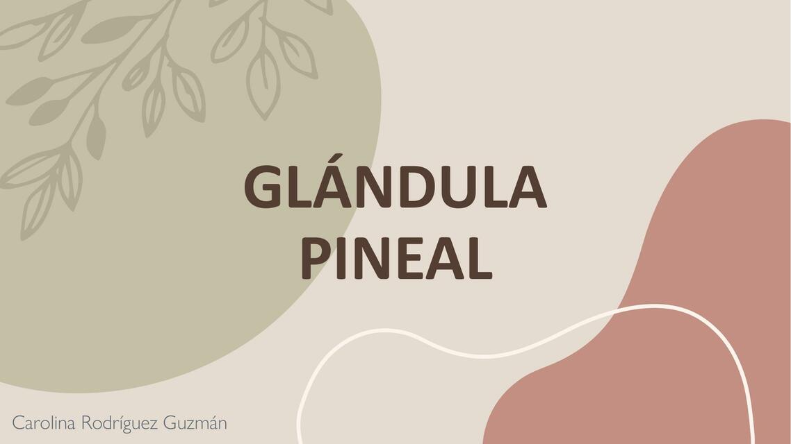 GLÁNDULA PINEAL