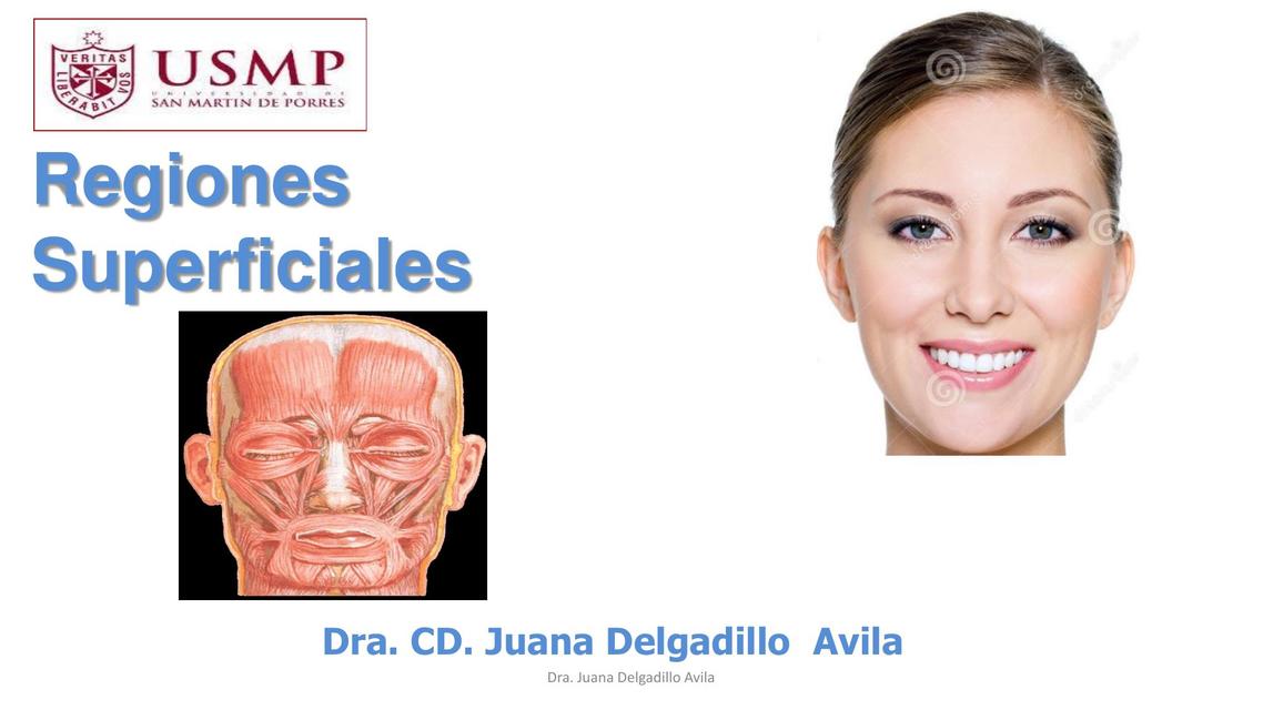  regiones superficiales Anatomía cabeza y cuello