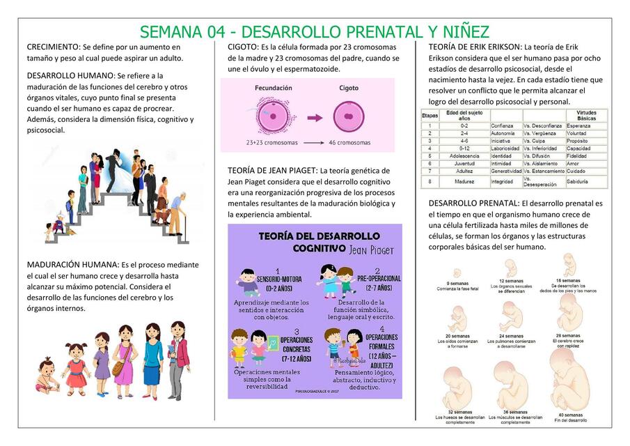 DESARROLLO PRENATAL Y NIÑEZ