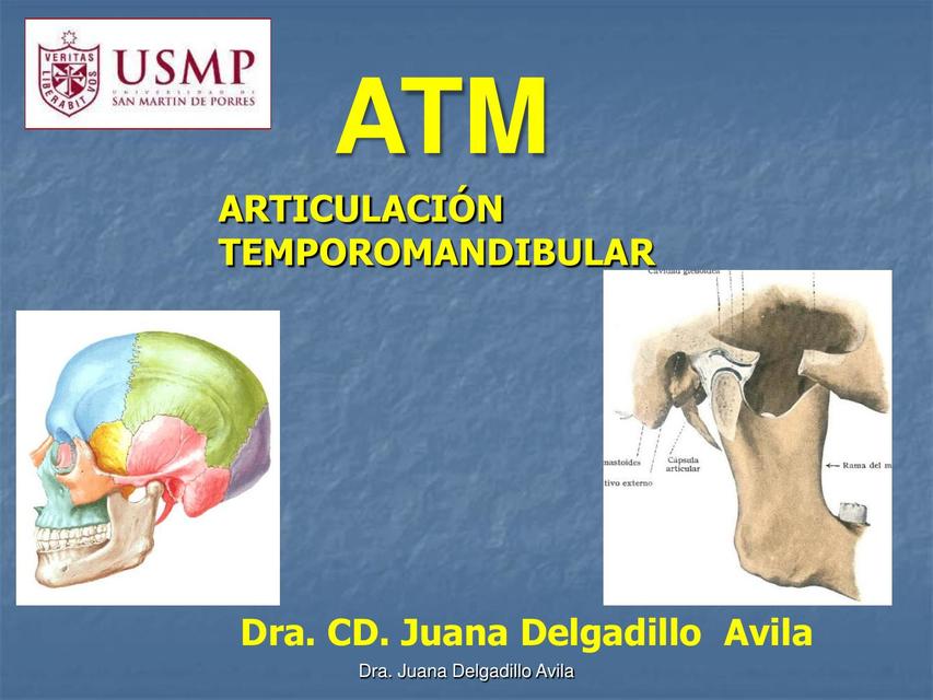 Articulación Temporomandibular Anatomía Cabeza y cuello