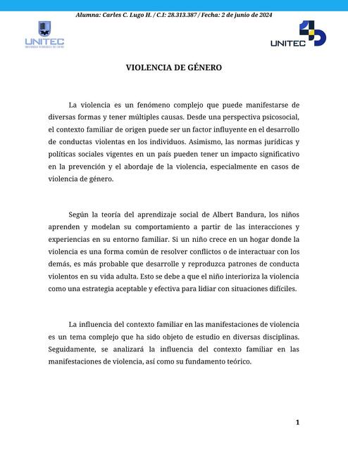 Ensayo sobre la Violencia de Género en Venezuela