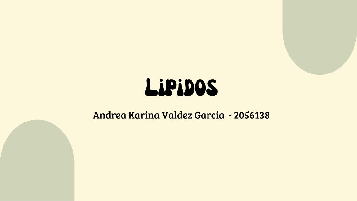 Lipidos