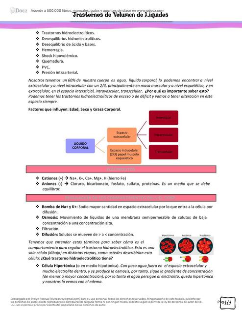 Trastornos de Volumen de Líquidos 