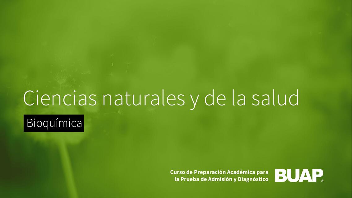 Ciencias naturales y de la salud 