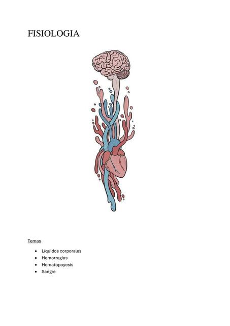 FISIOLOGIA: sangre, liquidos corporales, hemorragia, hematopoyesis