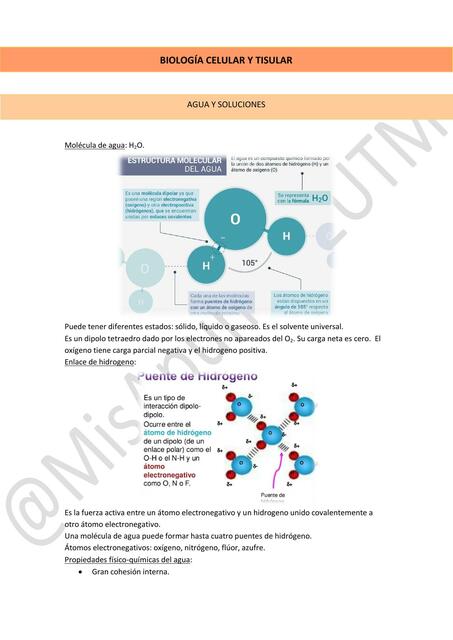 resumen bct LEER