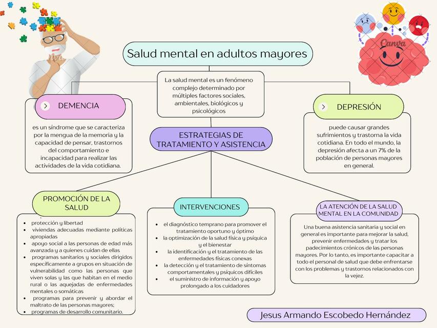 salud mental en el adulto mayor