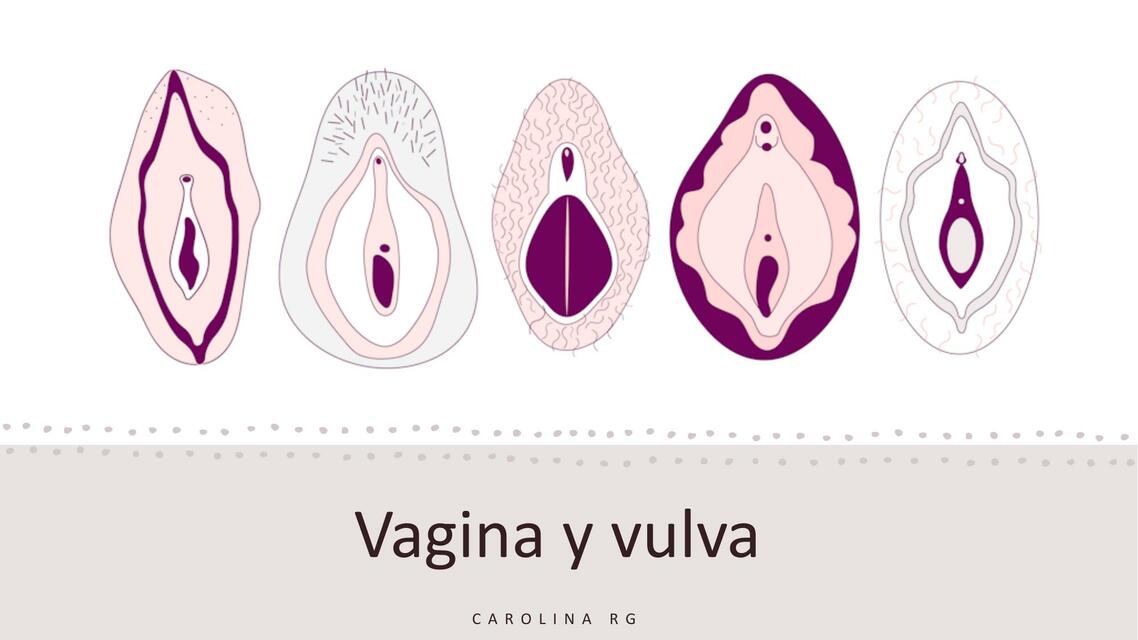 VAGINA VULVA CAROLINA