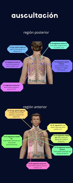 Puntos de auscultación: tórax anterior y posterior