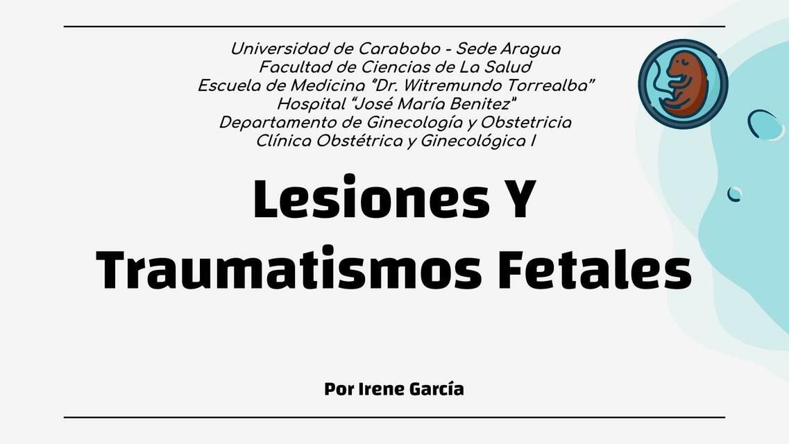 Clasificación Lesiones Irene