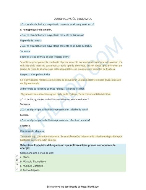 AUTOEVALUACION BIOQUIMICA