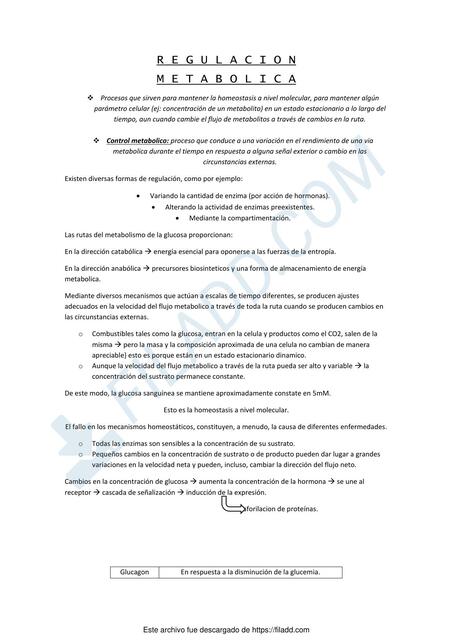 Regulación metabolica 