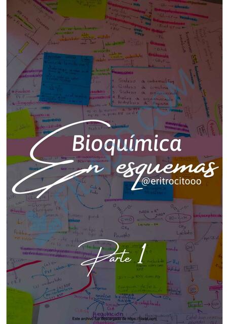 Bioquimica en esquemas