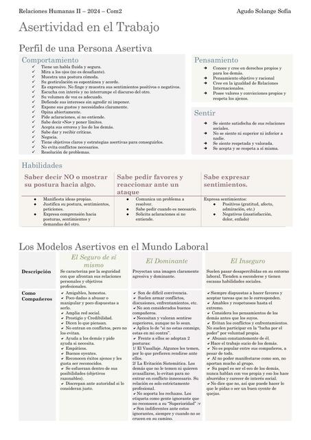 Resumen Perfil Asertivo en el Entorno Laboral