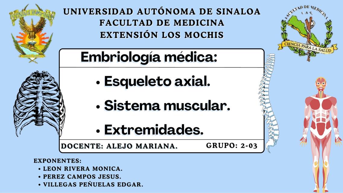 Esqueleto axial sistema muscular y extremidades