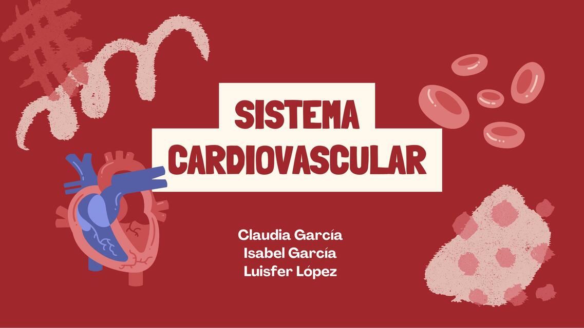 Sistema cardiovascular 4