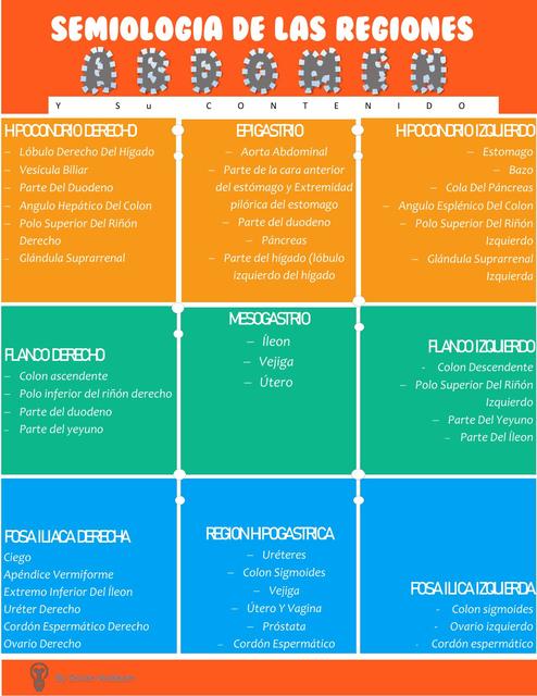 Semiología de Abdomen por regiones