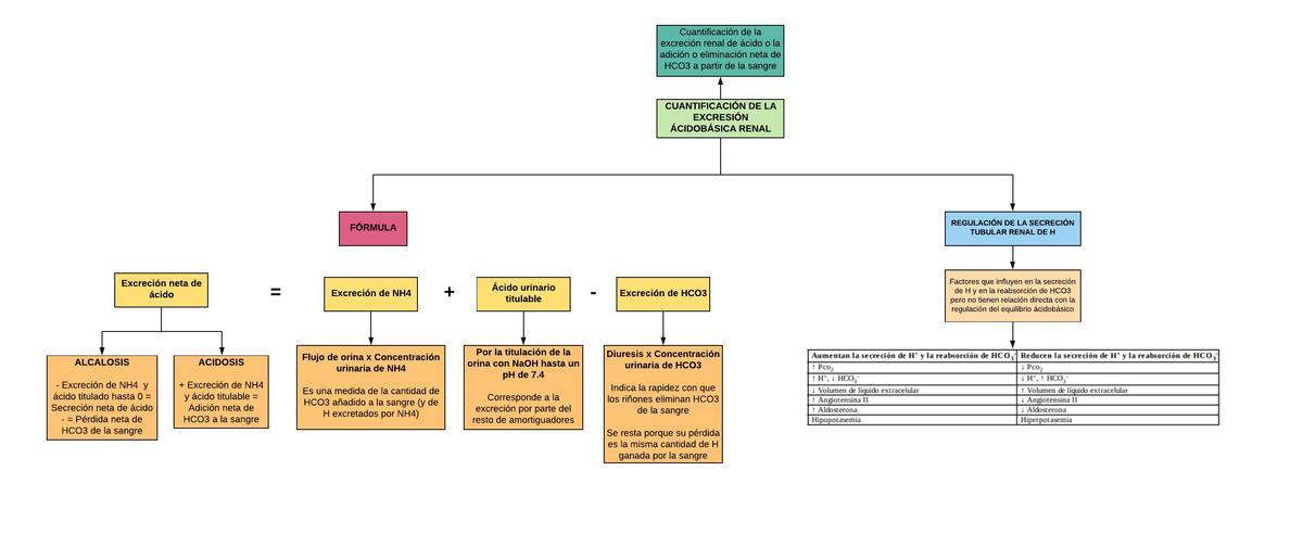 Mentefacto de la cuantificación de la excreción renal